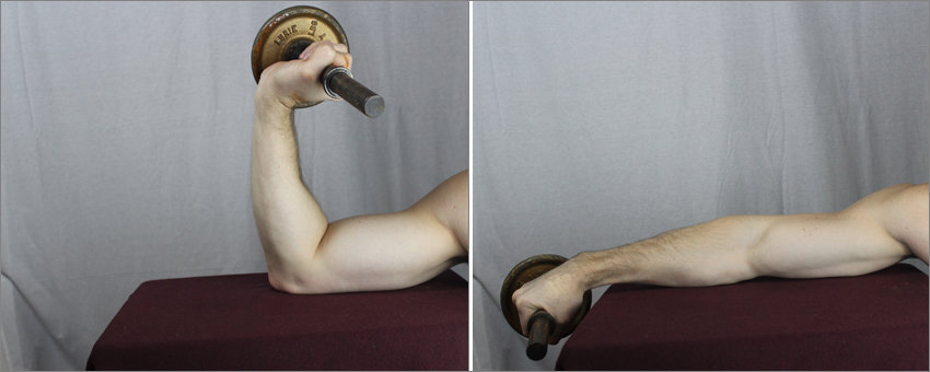 Eccentric wrist extension elbow flexion